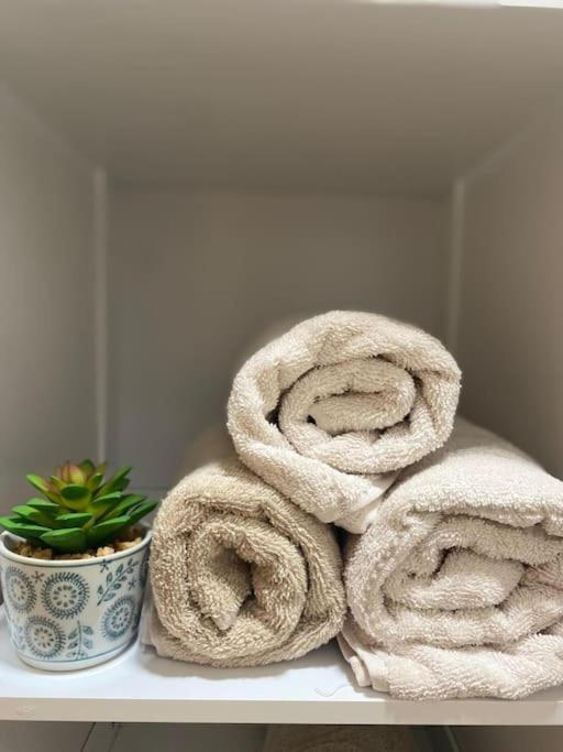 Apartamento Centro غرناطة المظهر الخارجي الصورة